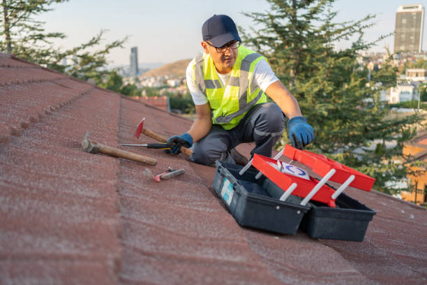 Best Yard Waste Removal  in Belle Chasse, LA
